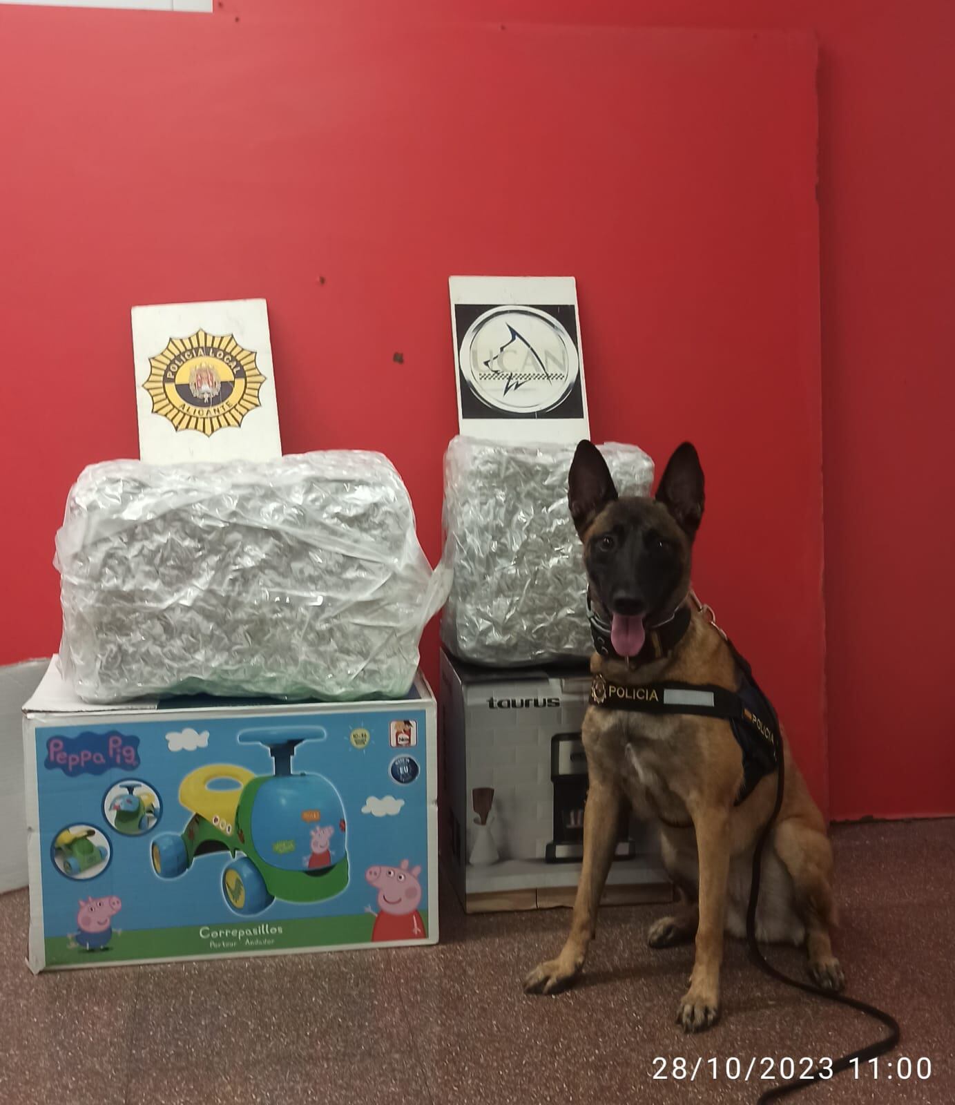 El perro Kata junto al alijo de marihuana incautado