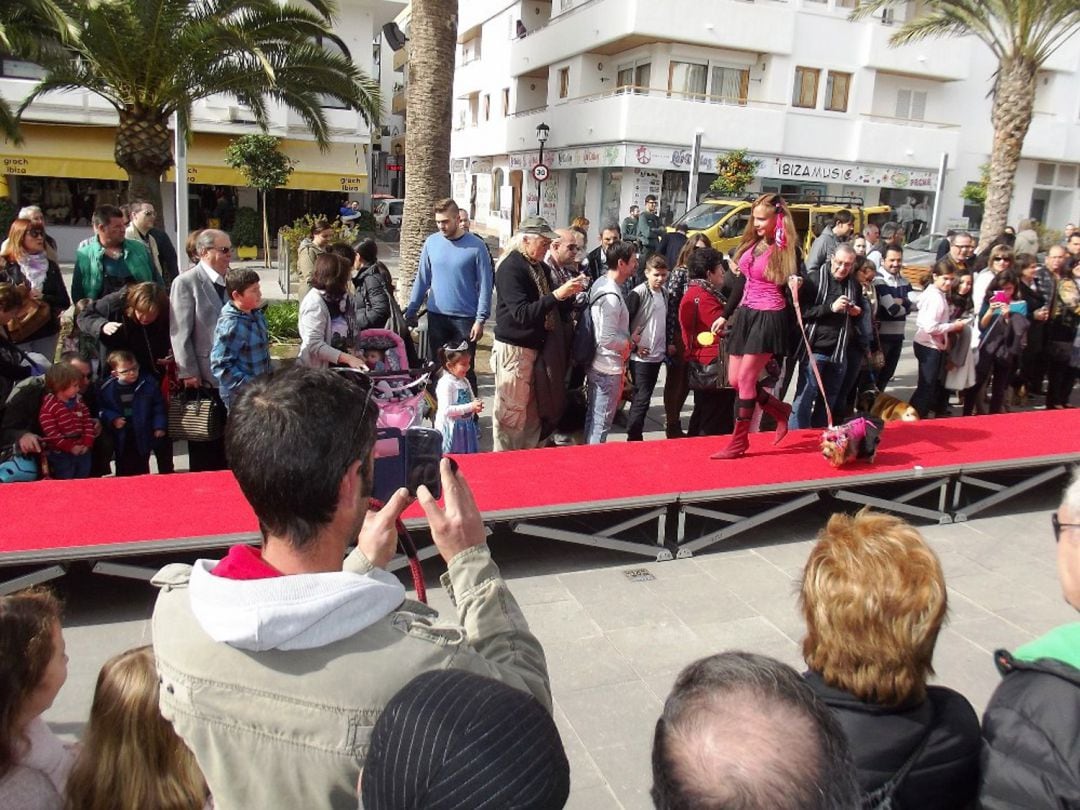 Imagen de un desfile para promover la adopción responsable