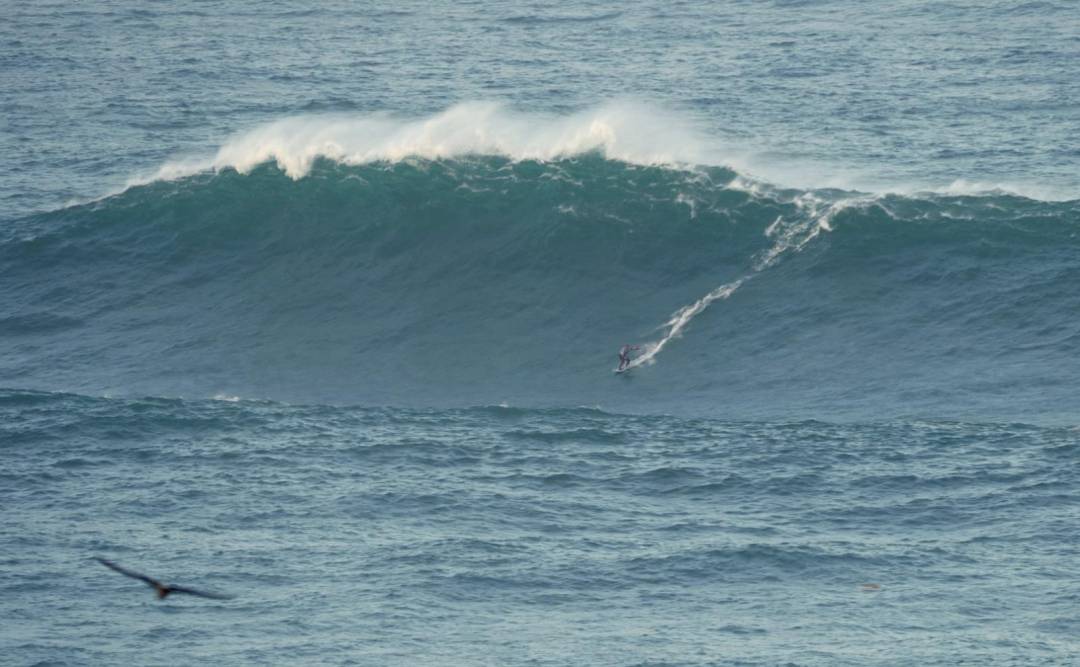 Un surfista en medio de una gran ola