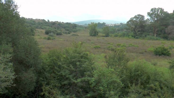 Entrevista con Ruiz Boix sobre la adquisición de nuevos terrenos