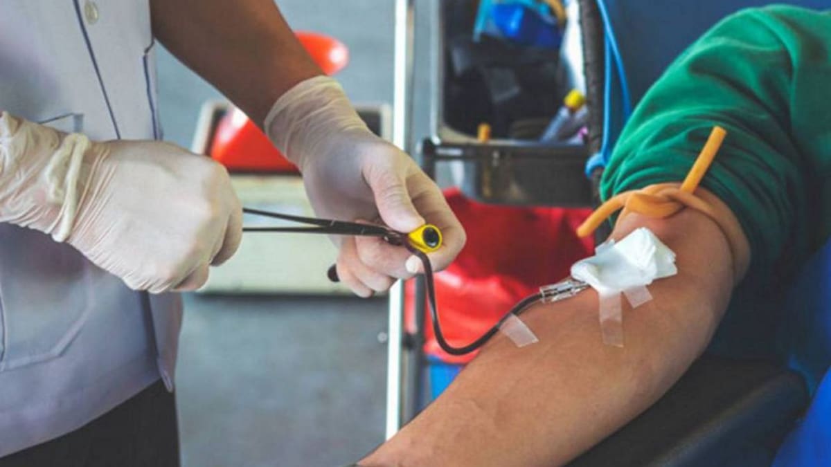 Urge la aportación de sangre para los hospitales valencianos