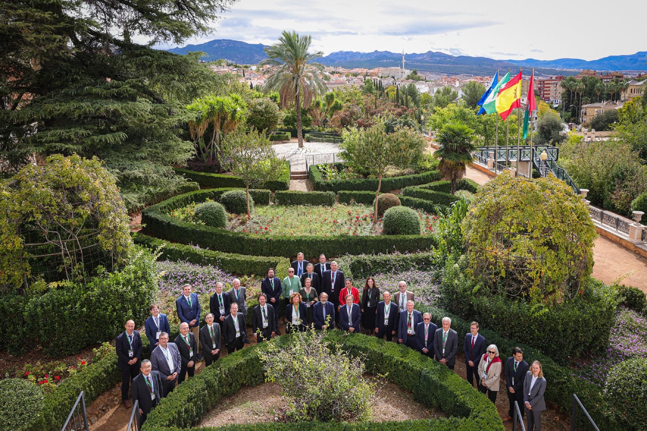 Reunión del comité internacional de dirección (DONES Steering Committe) del acelerador de partículas de Granada del proyecto IFMIF-DONES