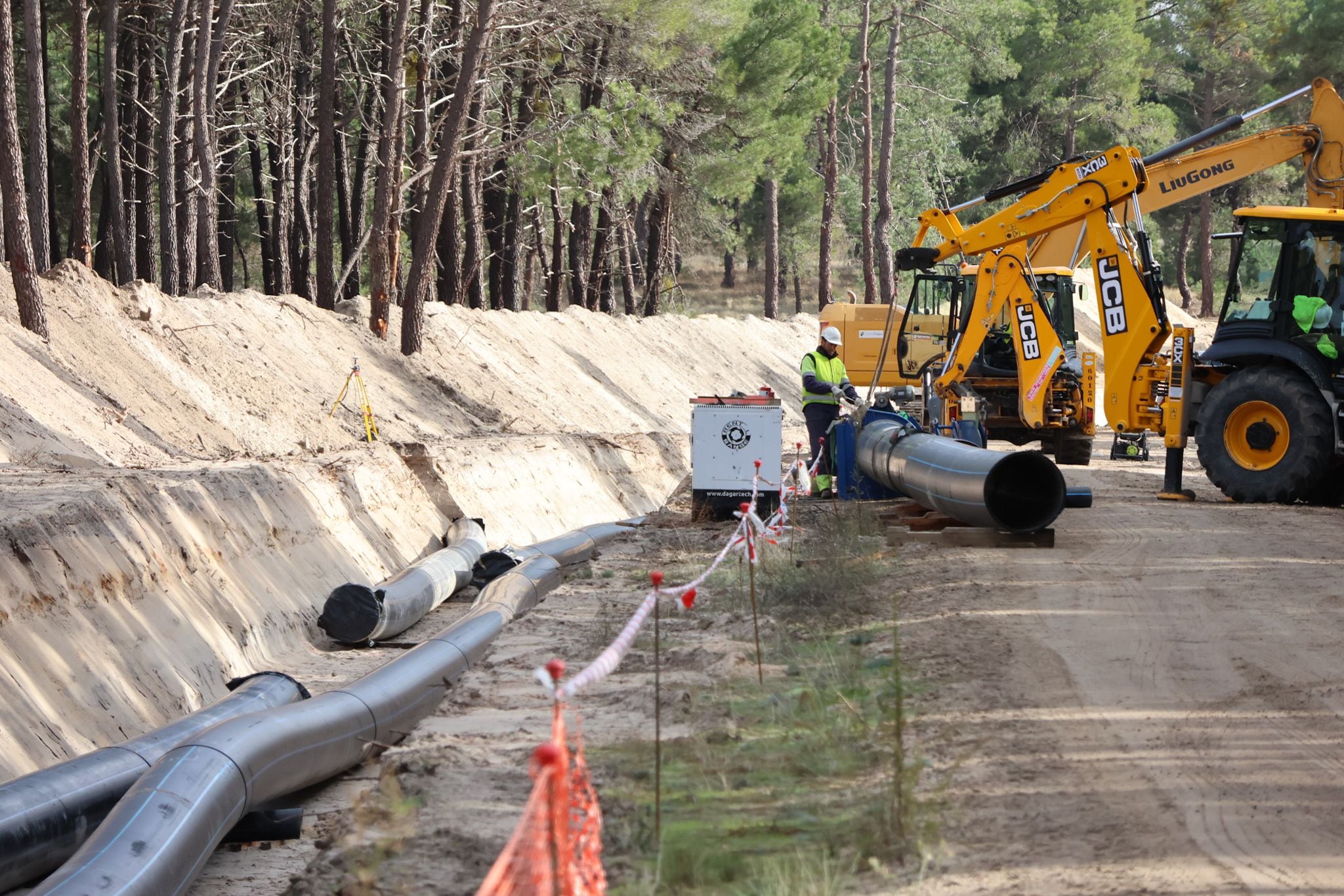 Imágenes de las obras