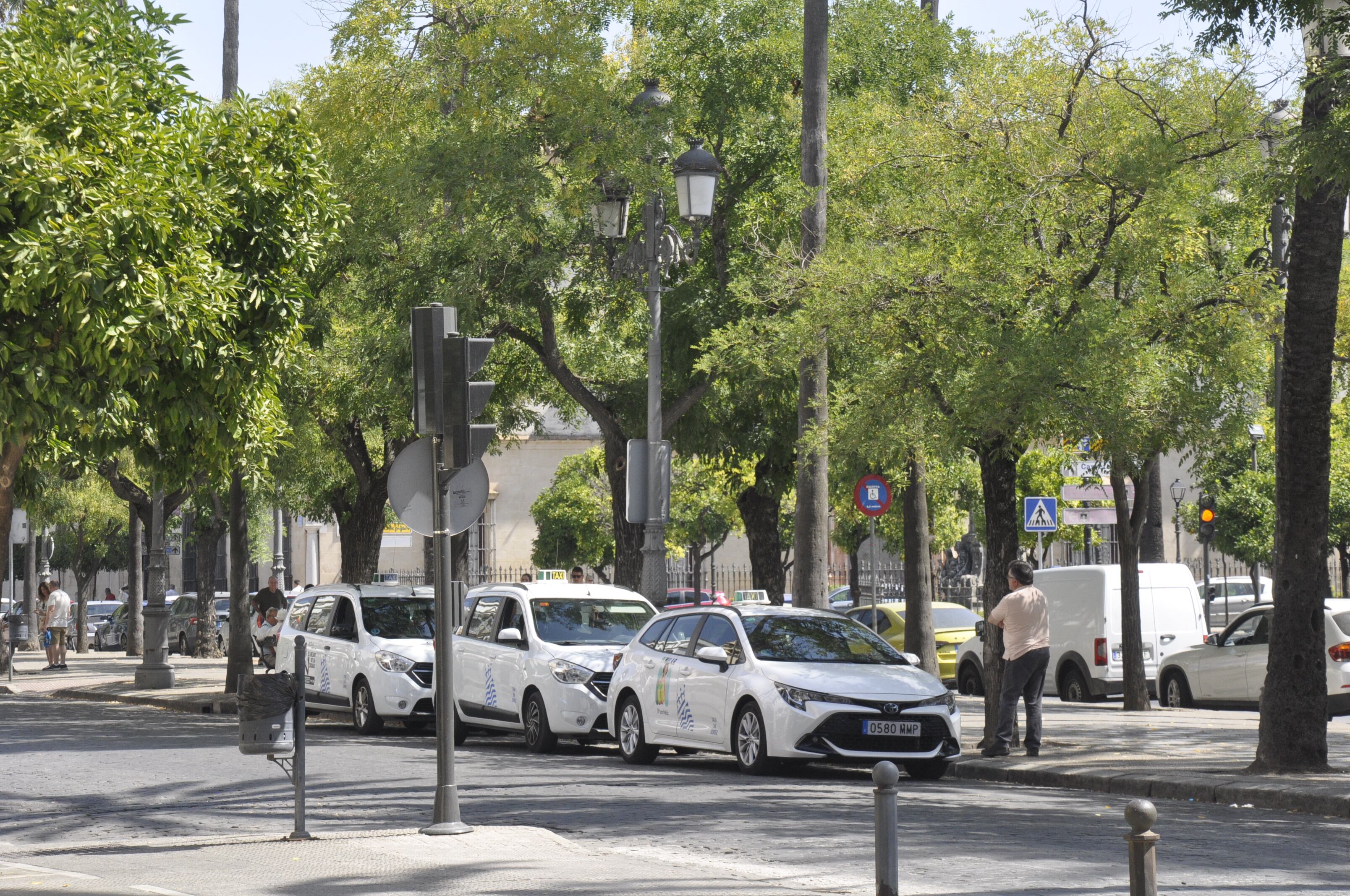 Taxis en Jerez Alameda Cristina