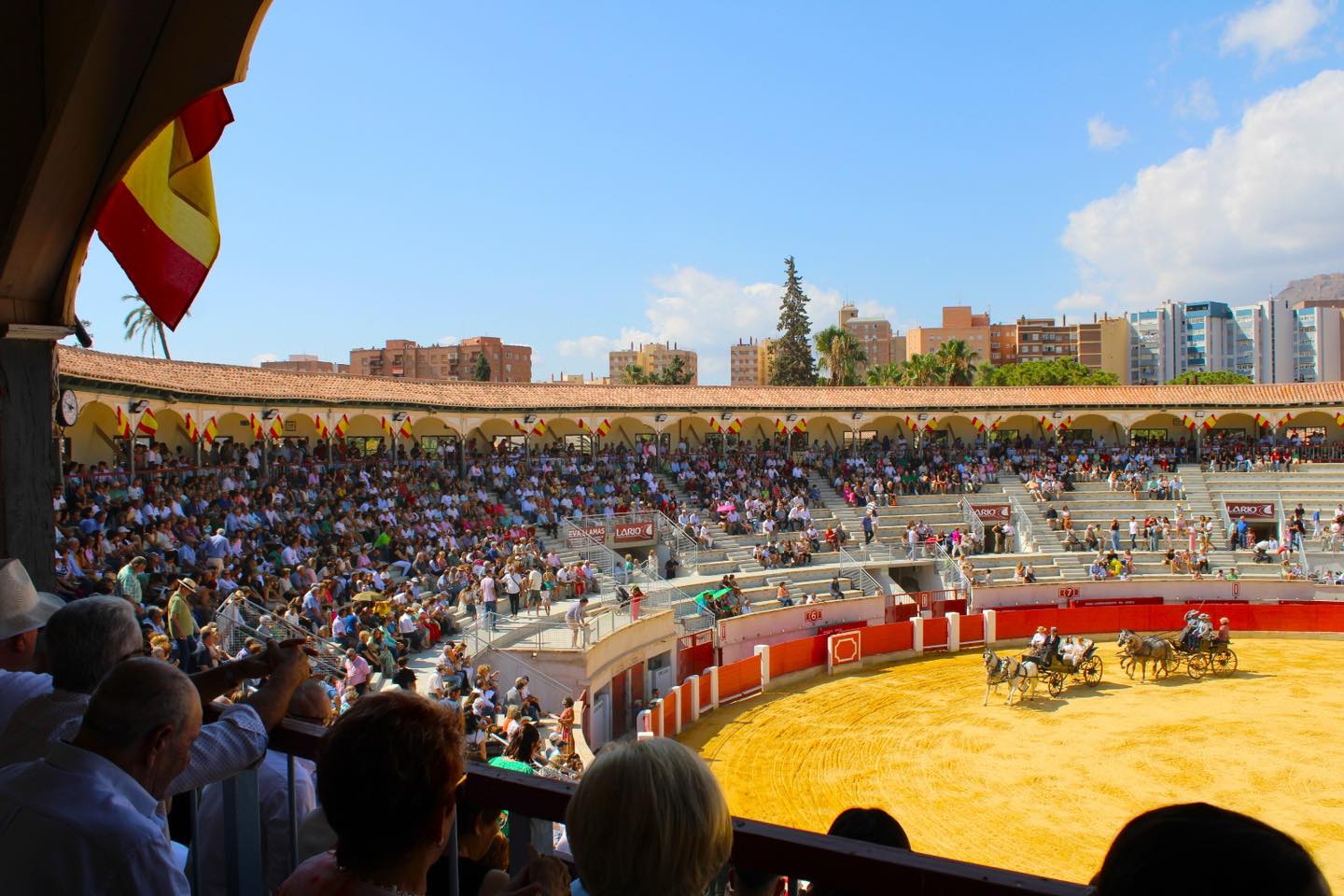 Exhibición de Enganches de Lorca en el Coso de Sutullena.