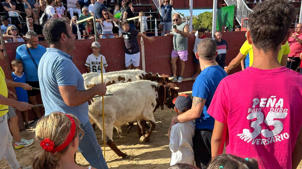 Rubén Pérez, portavoz de la Fundación Franz Weber, pide suspender la bueyada infantil de Ciempozuelos