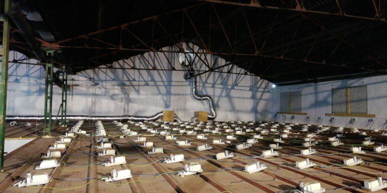 Interior de la plantación de marihuana desmantelada por la Guardia Civil