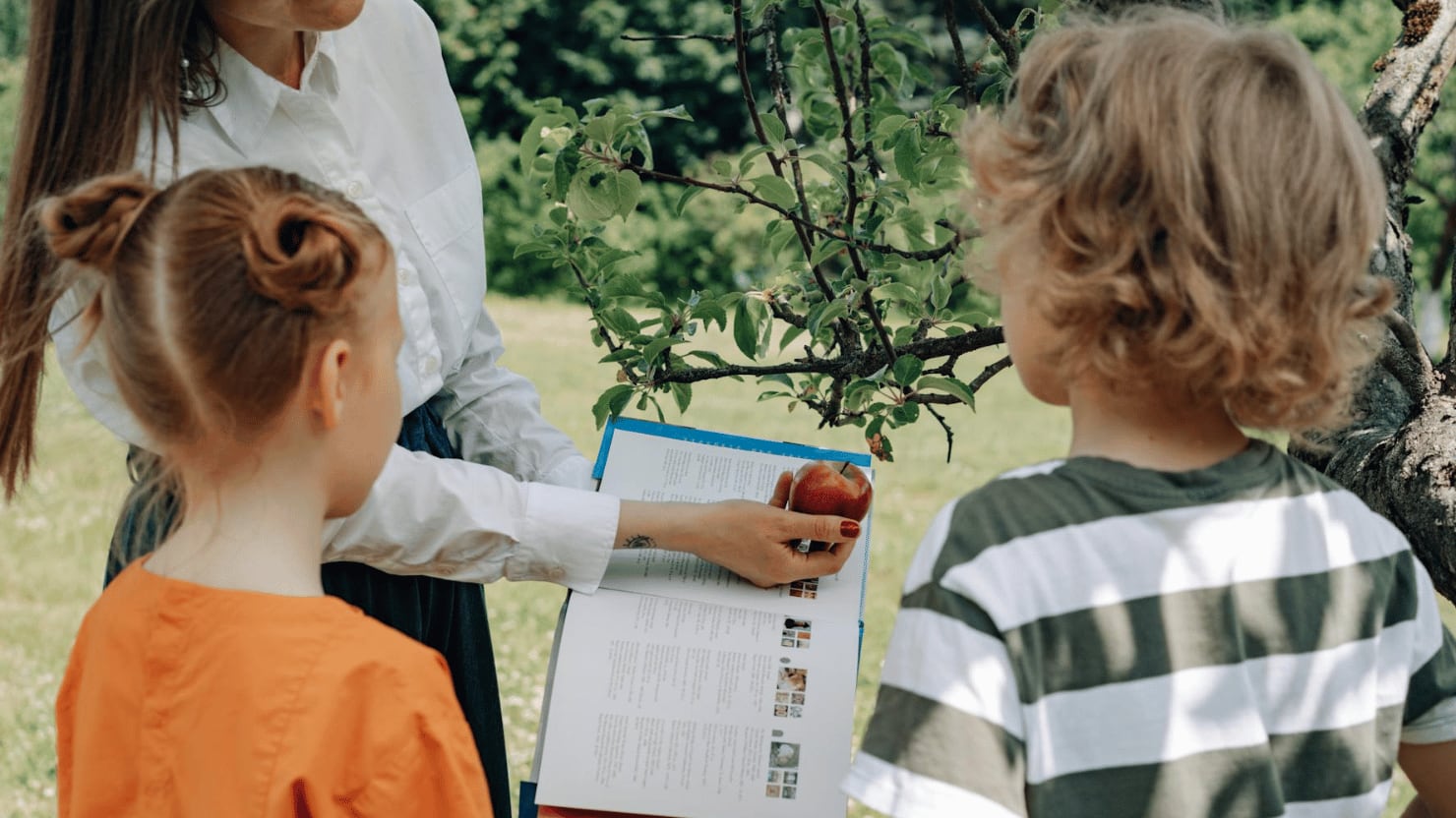 Escolares aprenden sobre las frutas en una plantación.