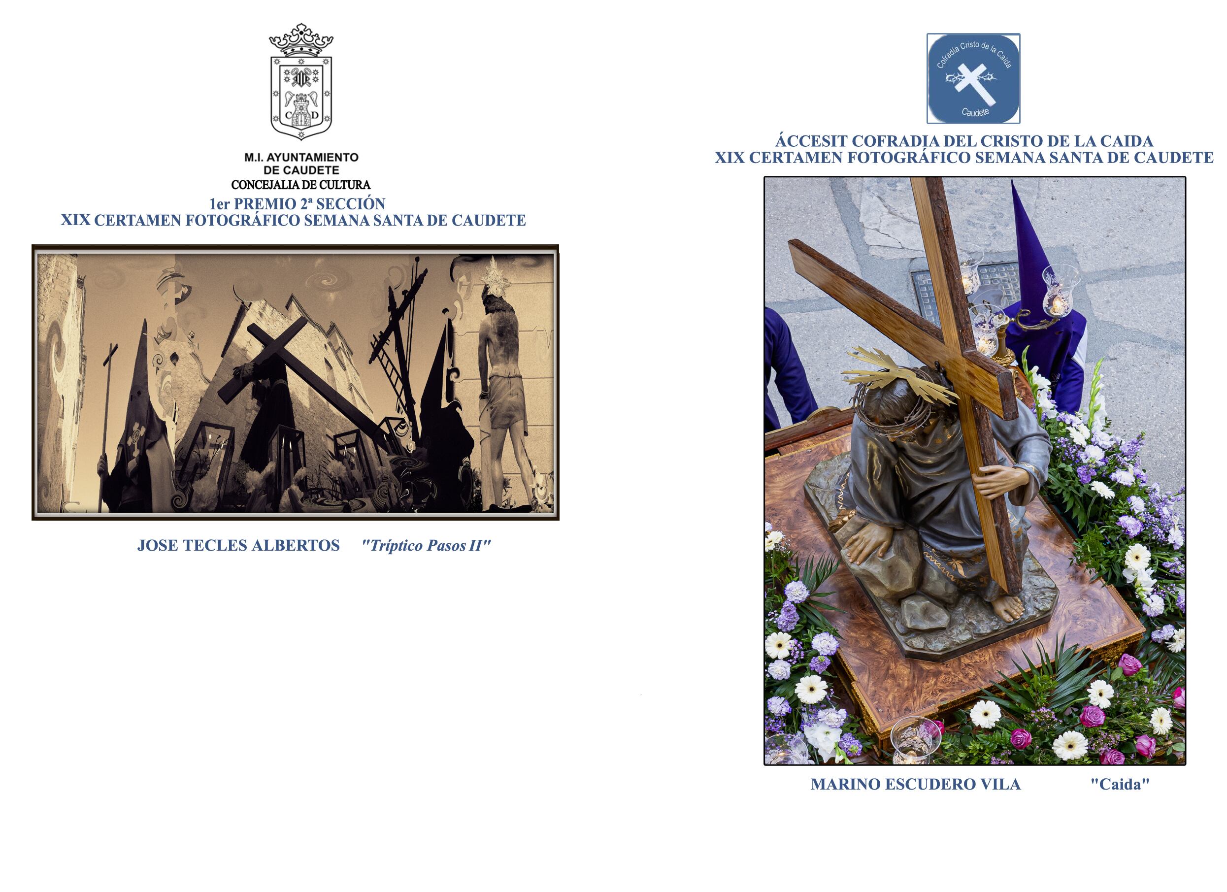 Fotografías ganadoras del concurso