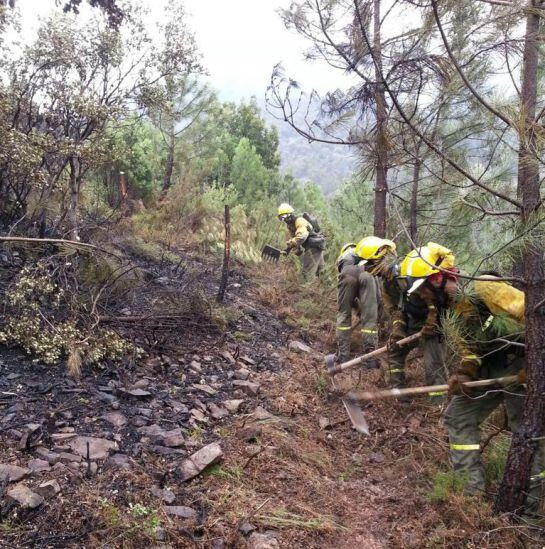 Foto cedida por las BRIF