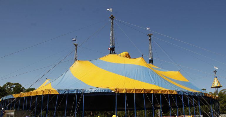 Cirque du Soleil es el circo con más éxito del mundo y nunca ha utilizado animales en sus espéctaculos