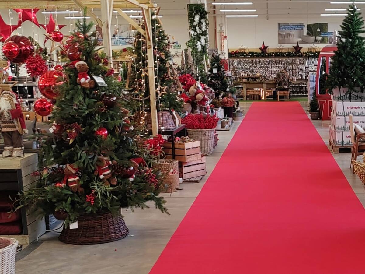 Verdecora inaugura la Navidad en Málaga con un evento nocturno y descuentos especiales
