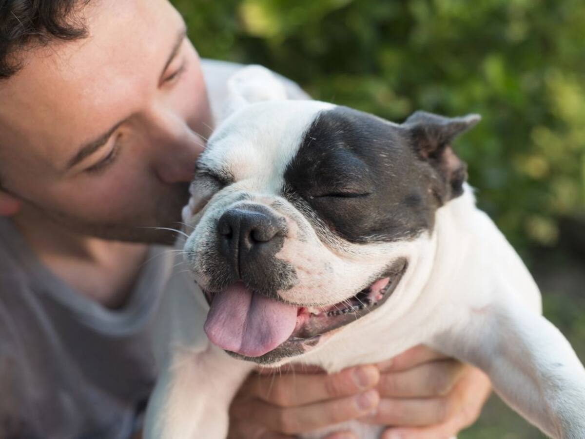 COVID-19: Las mascotas no son peligrosas