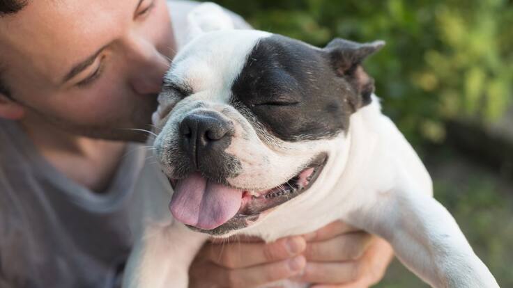 COVID-19: Las mascotas no son peligrosas