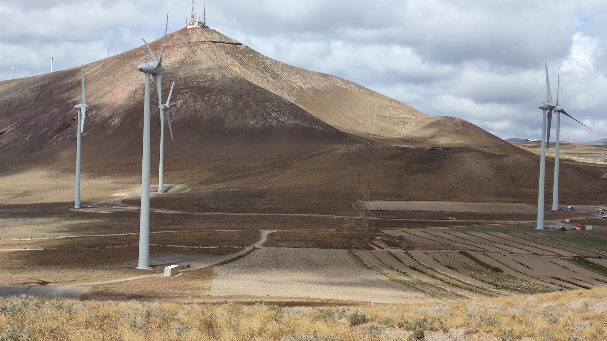 Uno de los parques eólicos de Lanzarote.