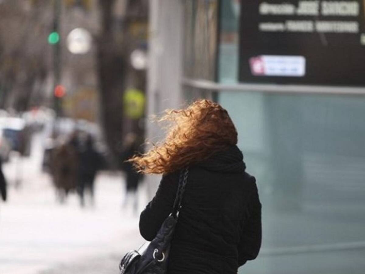 La alerta amarilla por viento obliga a cerrar varios parques y jardines de Valencia