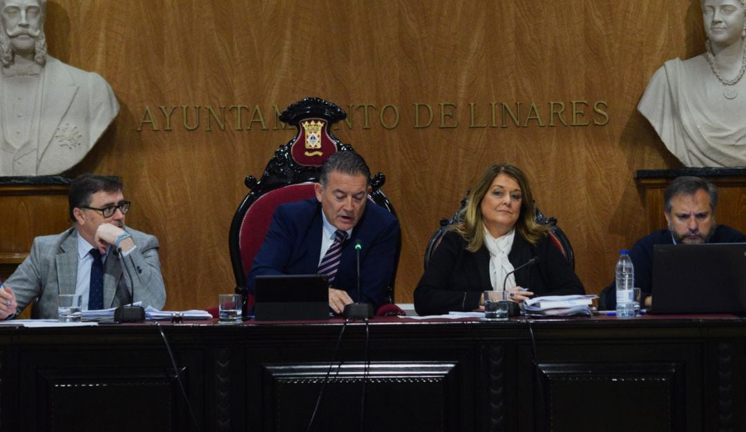 Momento del pleno del 13 de diciembre.