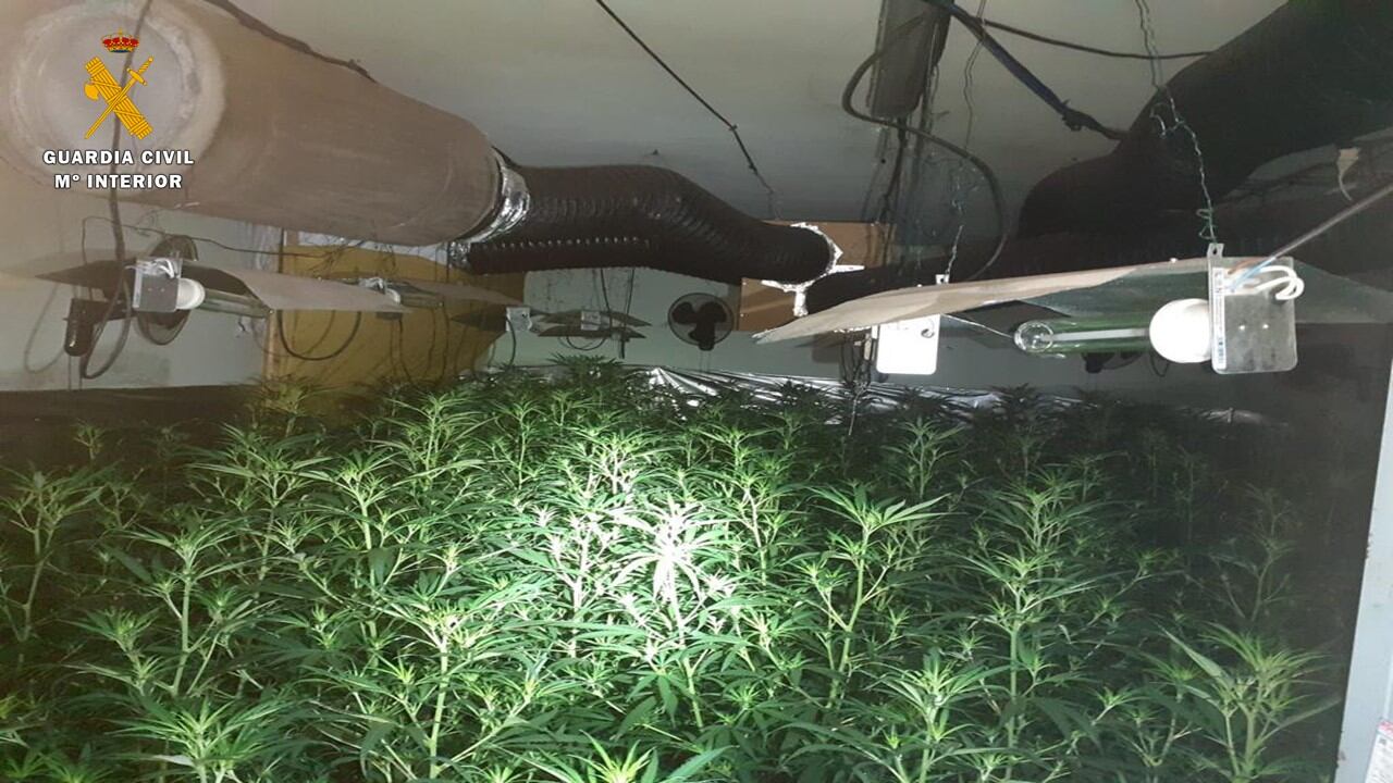 Un incendio en una vivienda descubre una plantación de marihuana en Garrapinillos (Zaragoza)