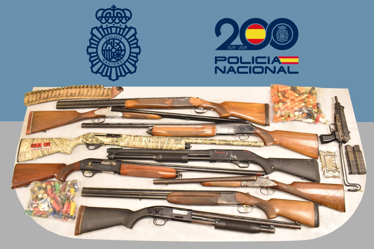 Armas inautadas en El Cerro (Linares).