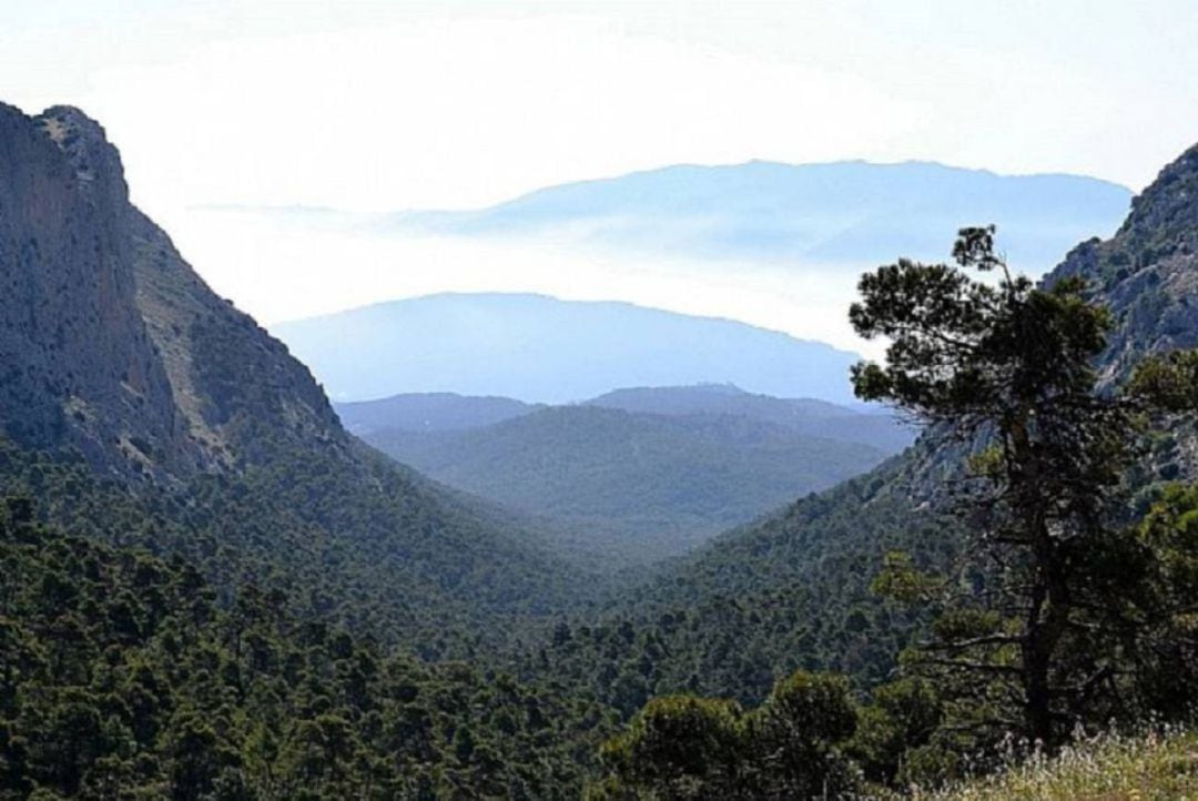 Murcia vuelve a solicitar la declaración de Parque Nacional para Sierra Espuña 