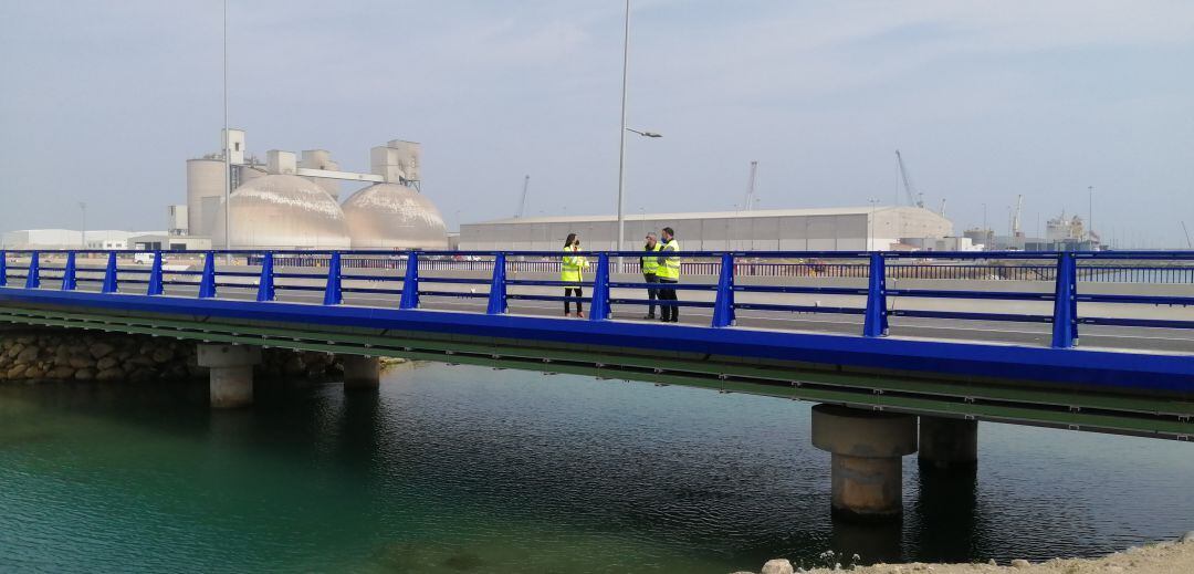 Visita puente canal Iberdrola