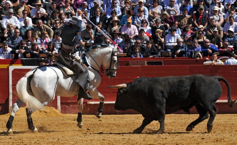 El consistorio ha decidido dejar de financiar los festejos taurinos que anualmente se celebran dentro de las fiestas patronales. 