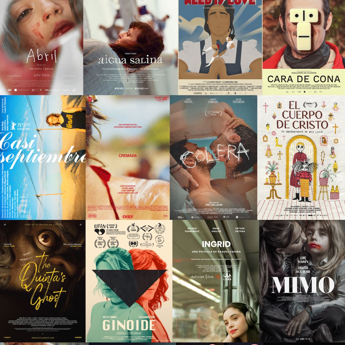 40 cortometrajes de 18 países, en la 35ª Muestra de Cine Internacional de Palencia