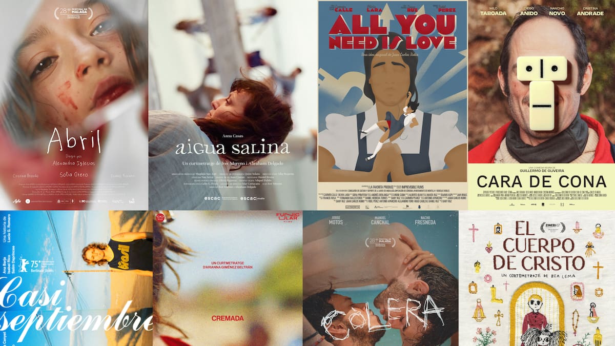 40 cortometrajes de 18 países, en la 35ª Muestra de Cine Internacional de Palencia