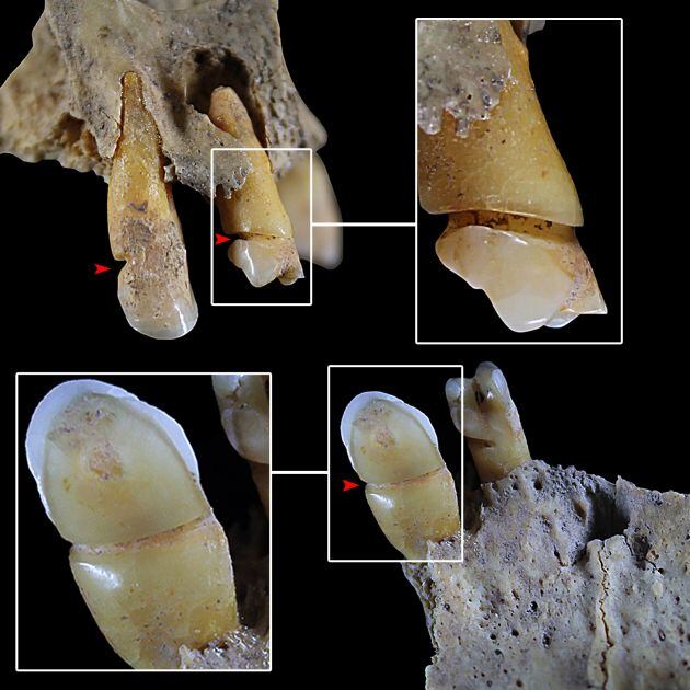 Investigación antropológica