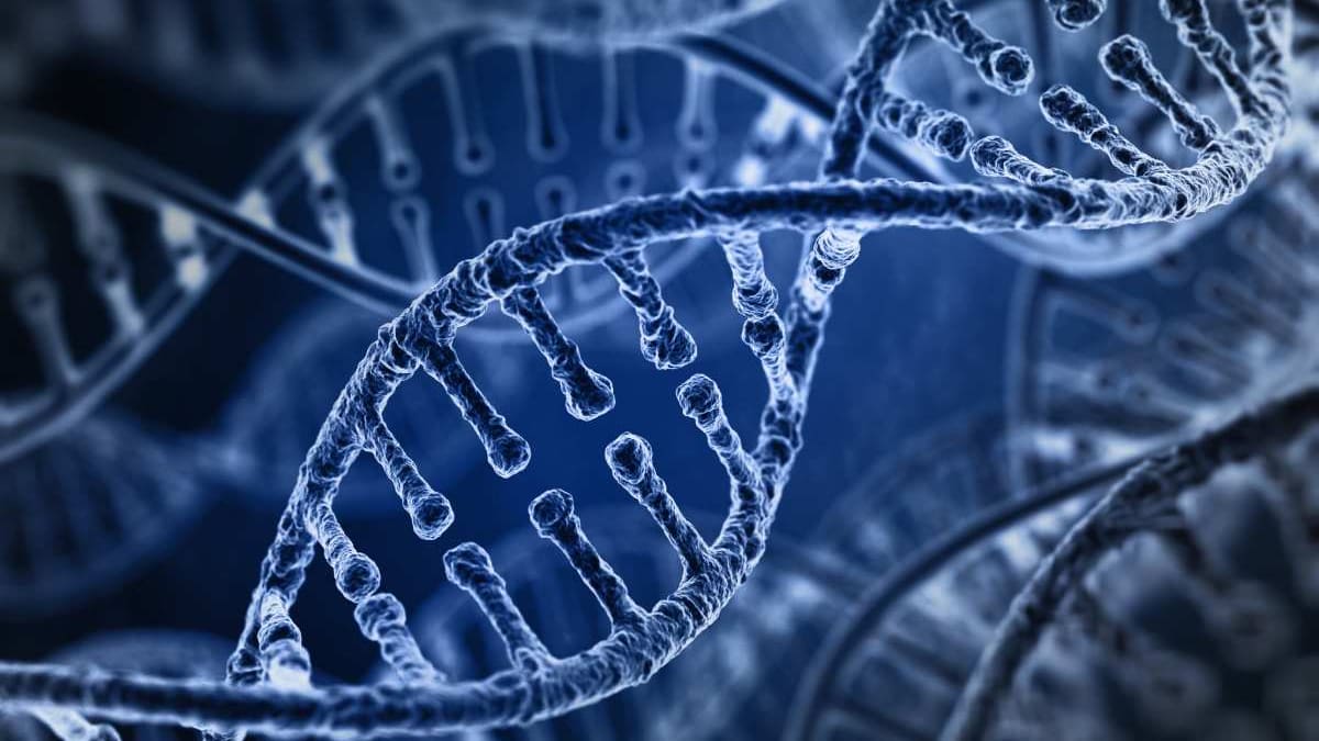 Las claves del futuro de la Genética y de la Medicina Avanzada