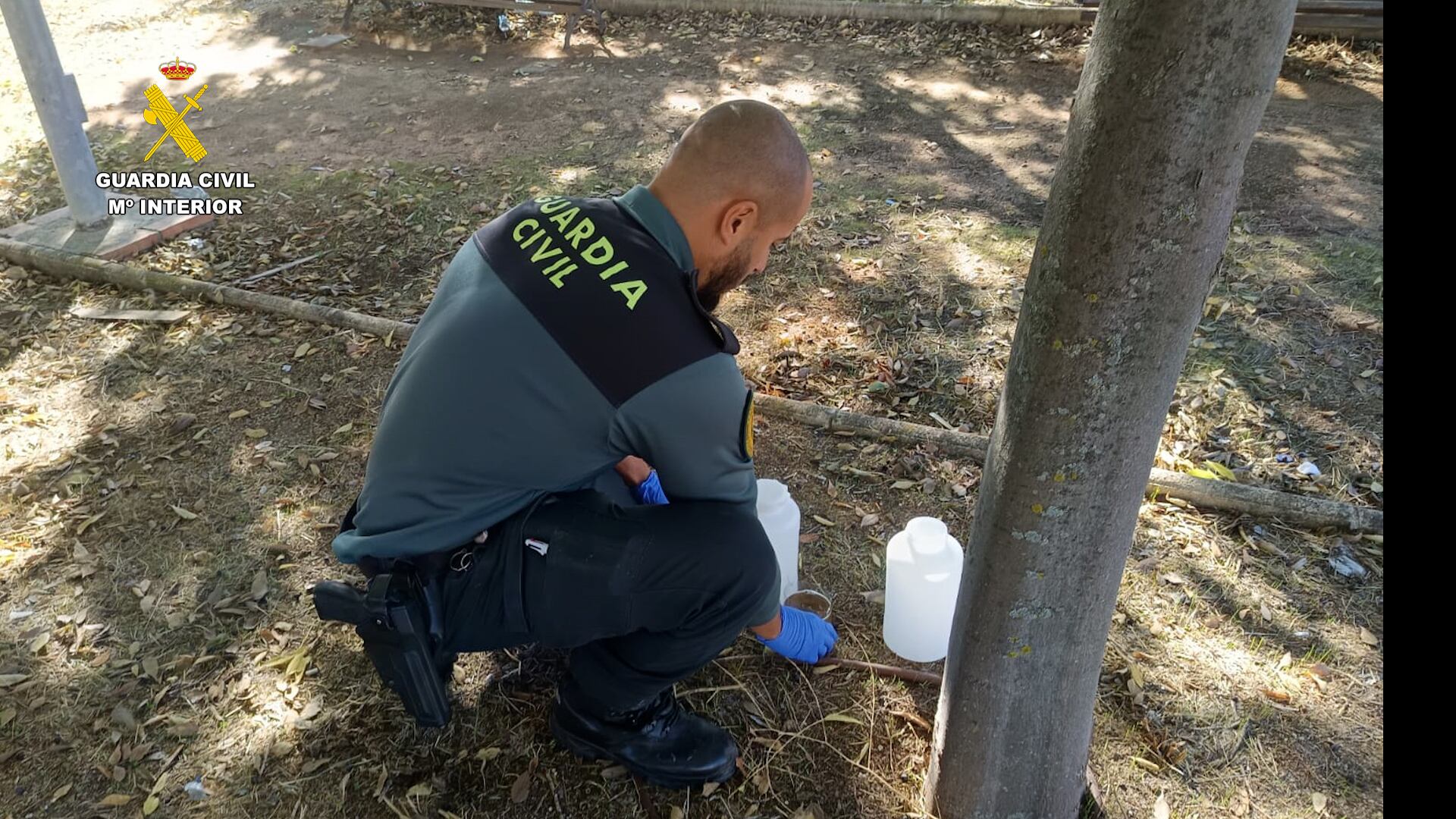 Se investiga a un varón por un supuesto delito continuado de maltrato animal mediante envenenamiento hacia la colonia felina. Foto: Guardia Civil