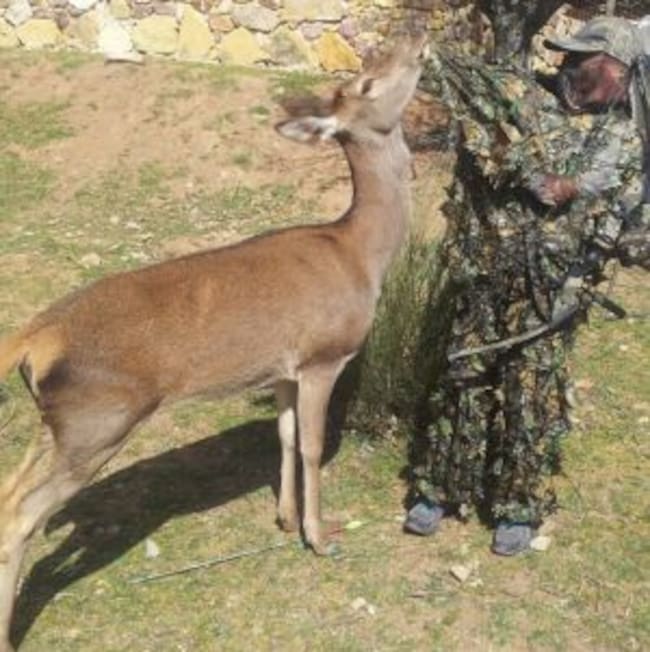 Paqui a punto de ser devorada por Ana Rosa
