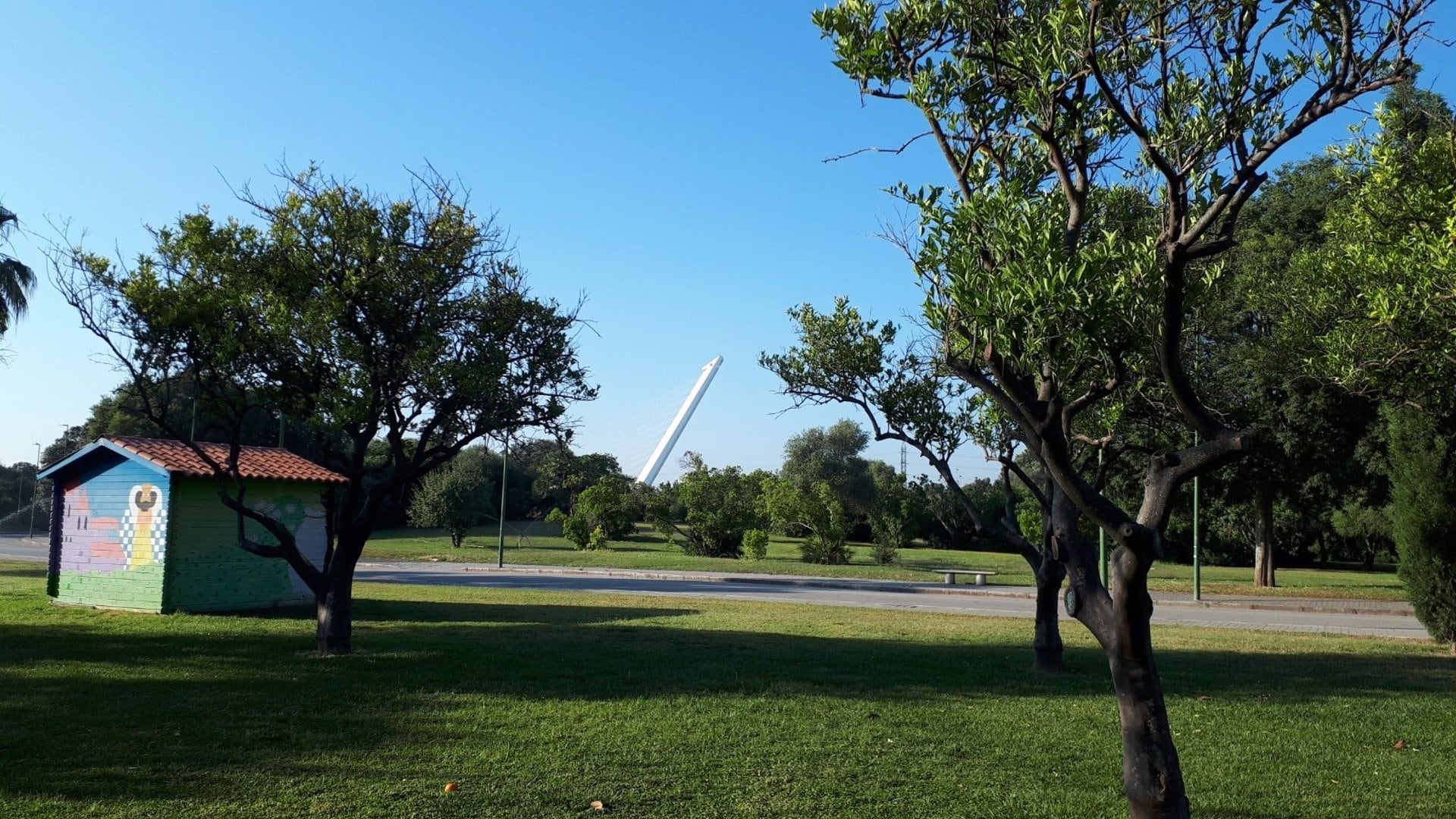 Parque del Alamillo de Sevilla.