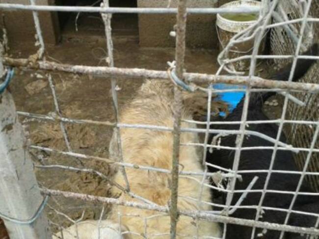 Imagen del criadero ilegal