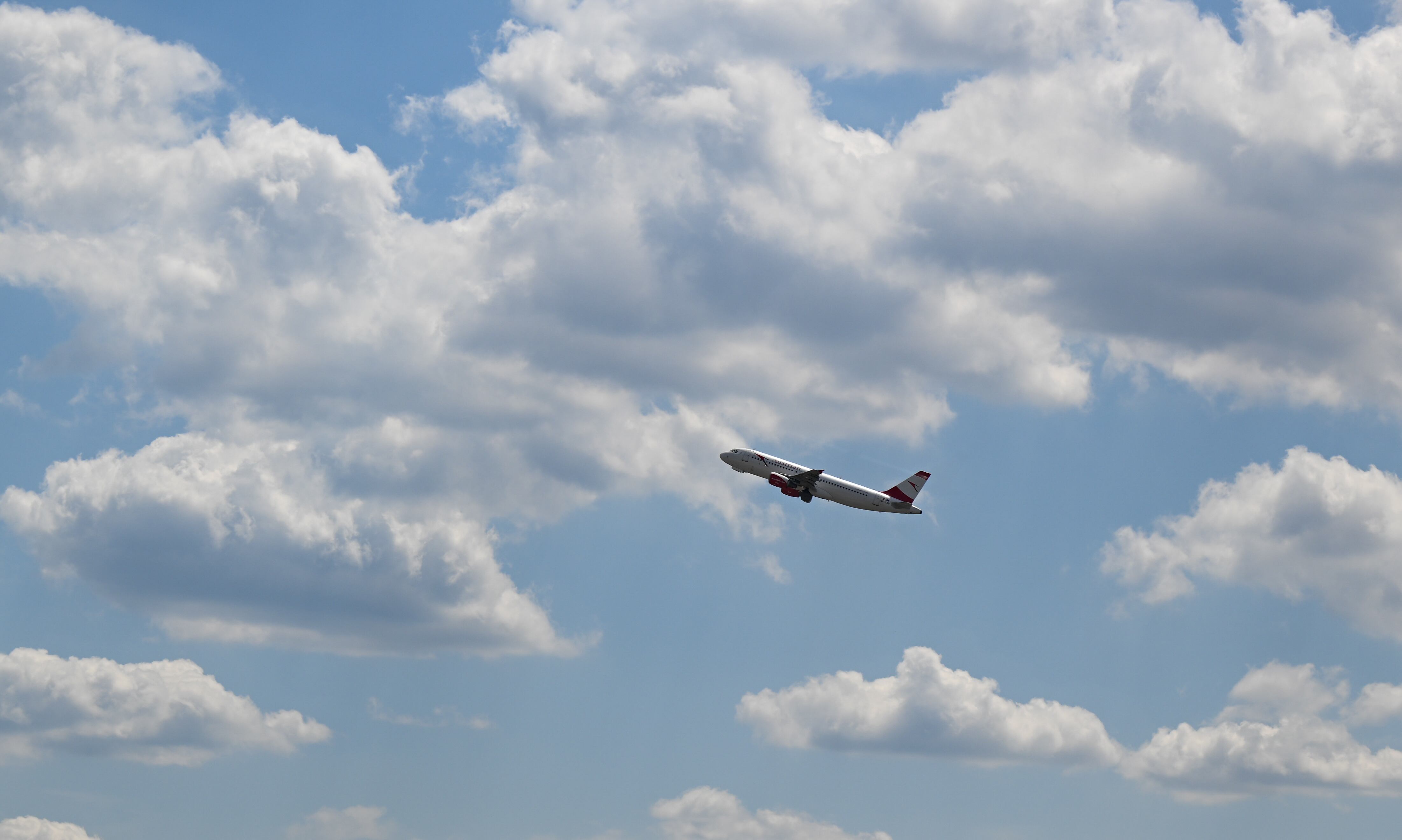 Imagen de archivo de un avión alemán. Photo: Arne Dedert/dpa (Photo by Arne Dedert/picture alliance via Getty Images)