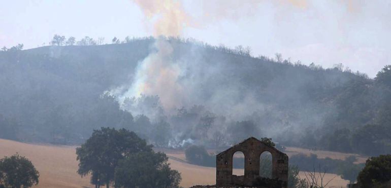 Incendio en Aleas (Guadalajara) el pasado verano