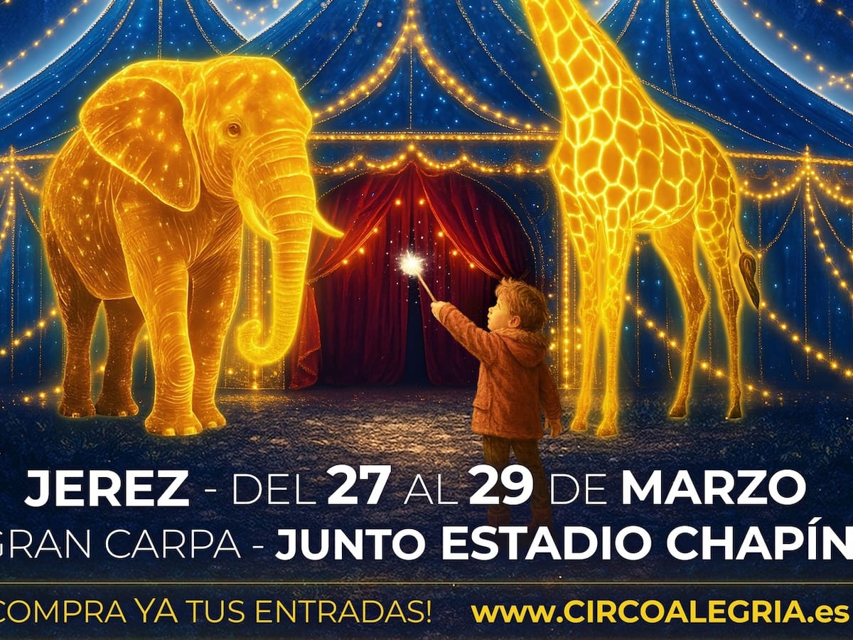 ¡Cuando los sueños se iluminan, la emoción brilla!