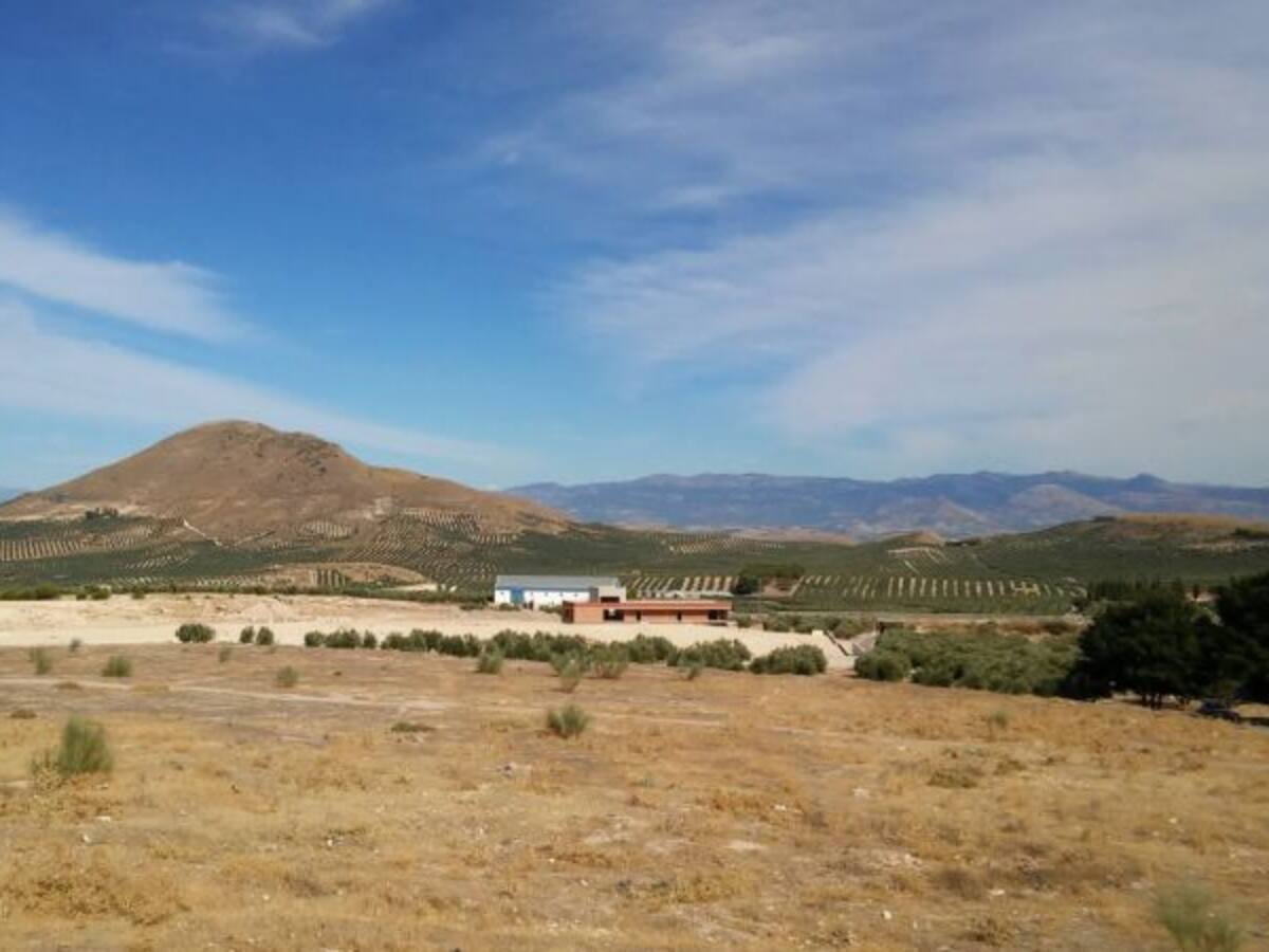 Manuel Ojeda: "El Ayuntamiento viene realizando proyectos muy dignos"