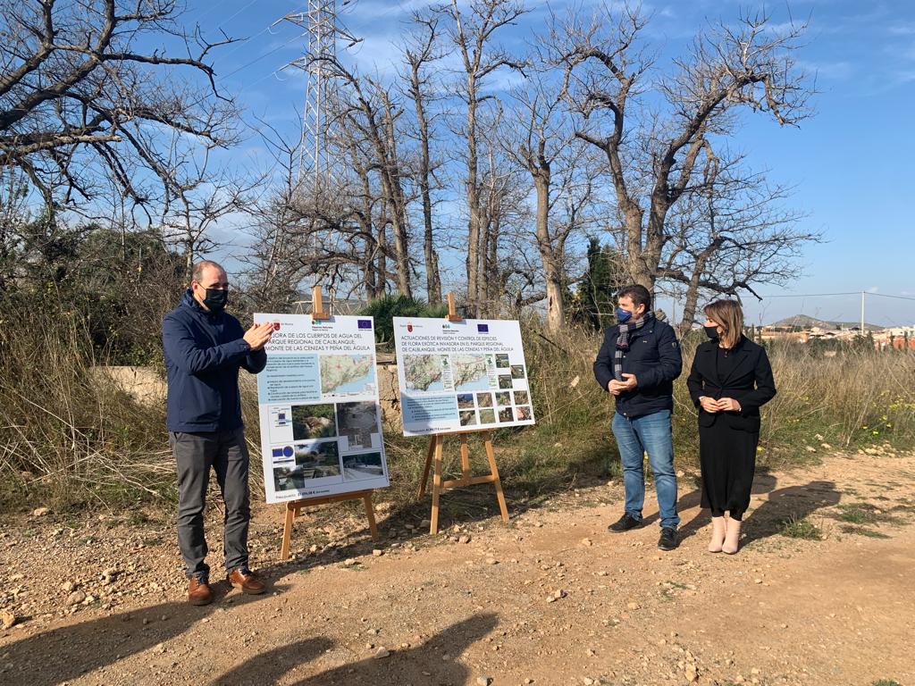 Medidas para preservar las especies de Calblanque