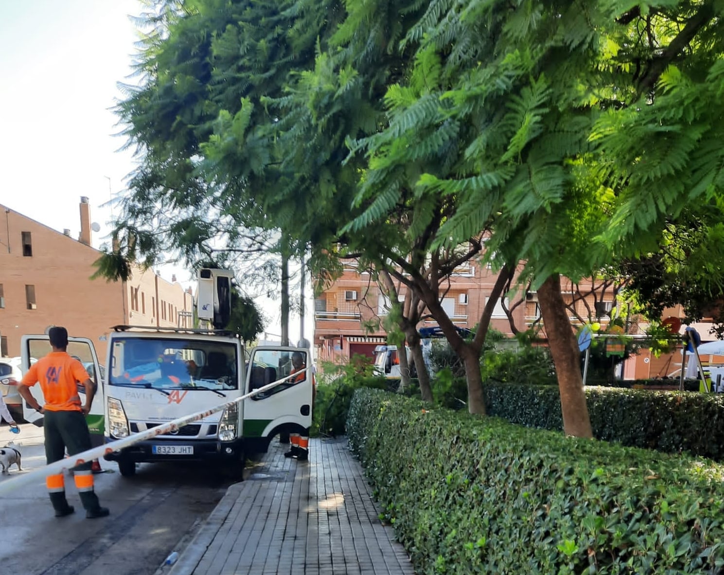 El plan de choque de limpieza llega a las pedanías de València.