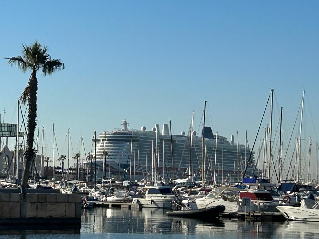 Crucero que este viernes, 3 de febrero, ha atracado en el Puerto de Alicante