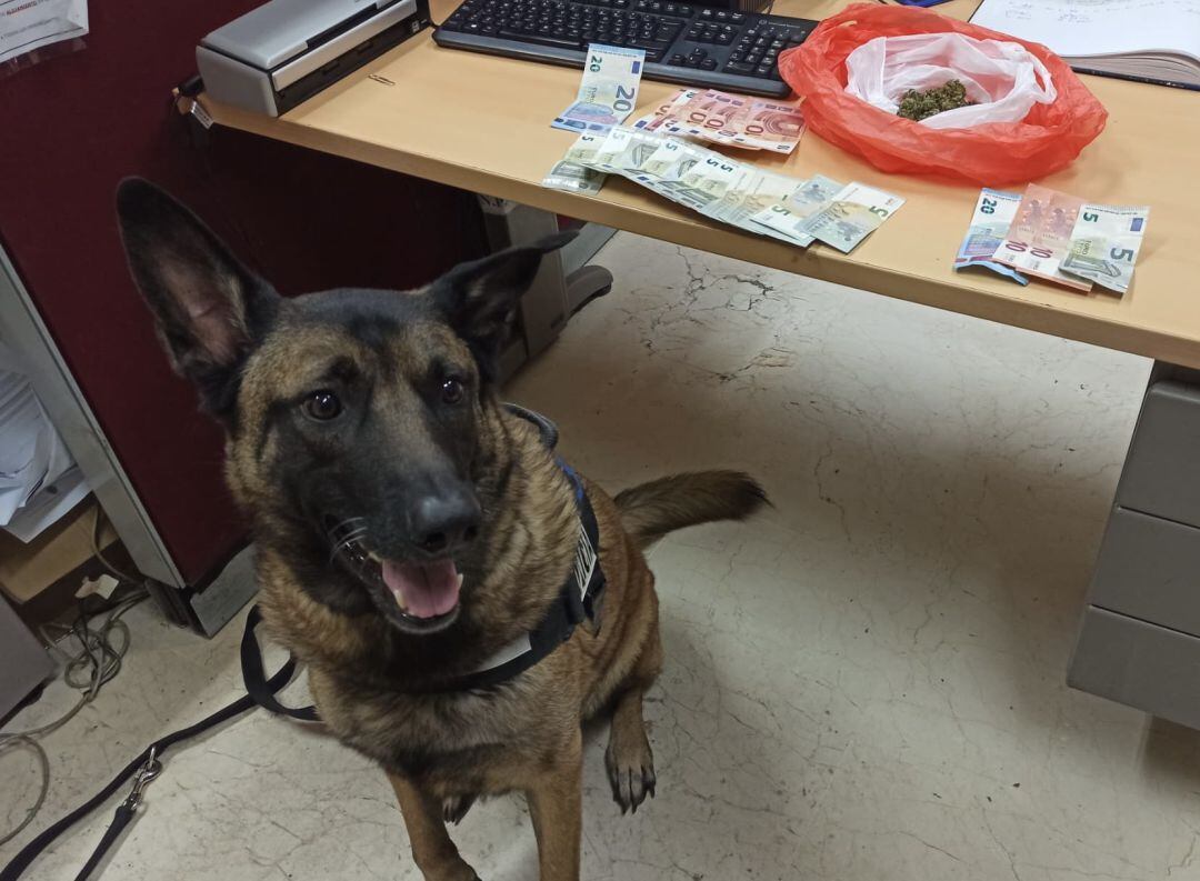 Egon de la Unidad Canina con una de las confiscaciones gracias a su trabajo