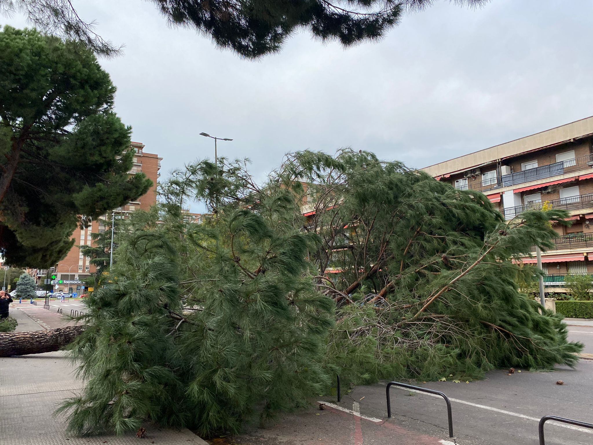 La circulación en sentido a la Plaza del Chicle está cortada