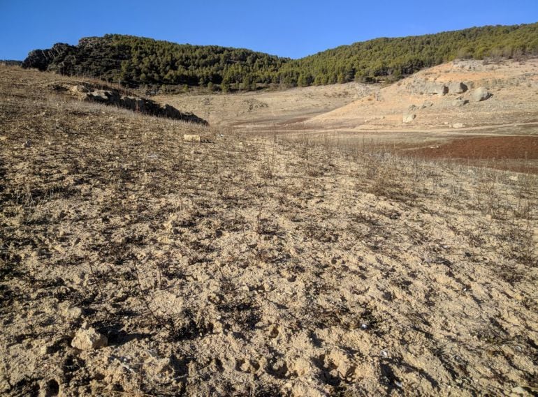 Los científicos advierten que el cambio climático está acelerando el proceso de desertificación de la Tierra