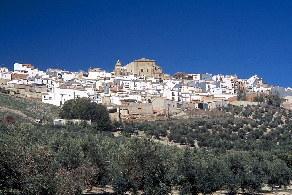 El accidente ha ocurrido en una finca de olivar del término municipal de Iznatoraf