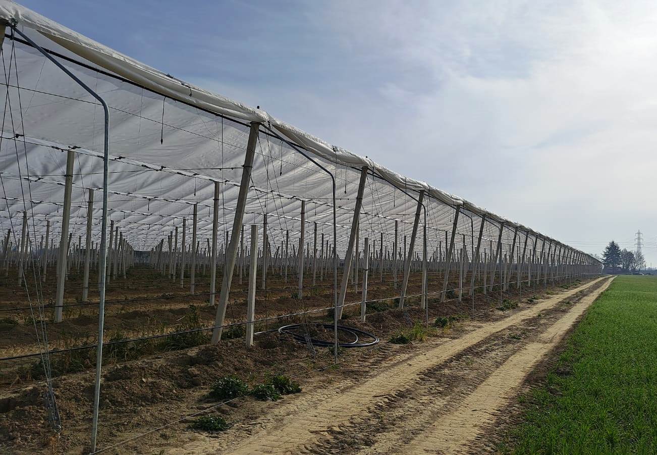 Instalaciones que colocal Valente Ibérica