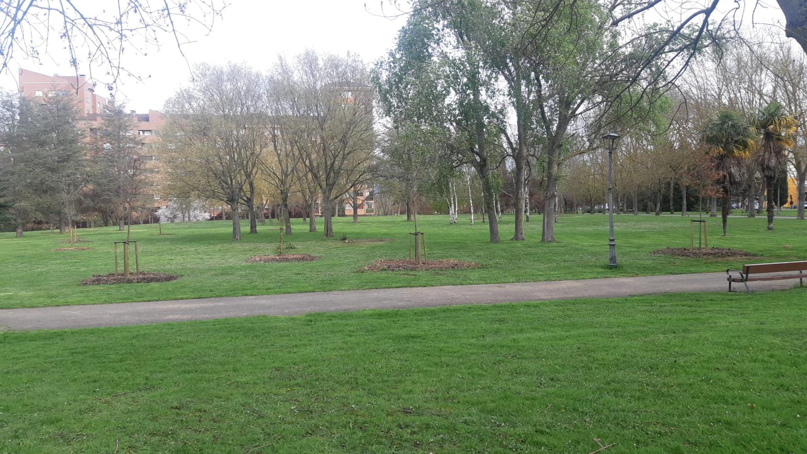 Árboles en los parques de Vitoria para proporcionar más sombra