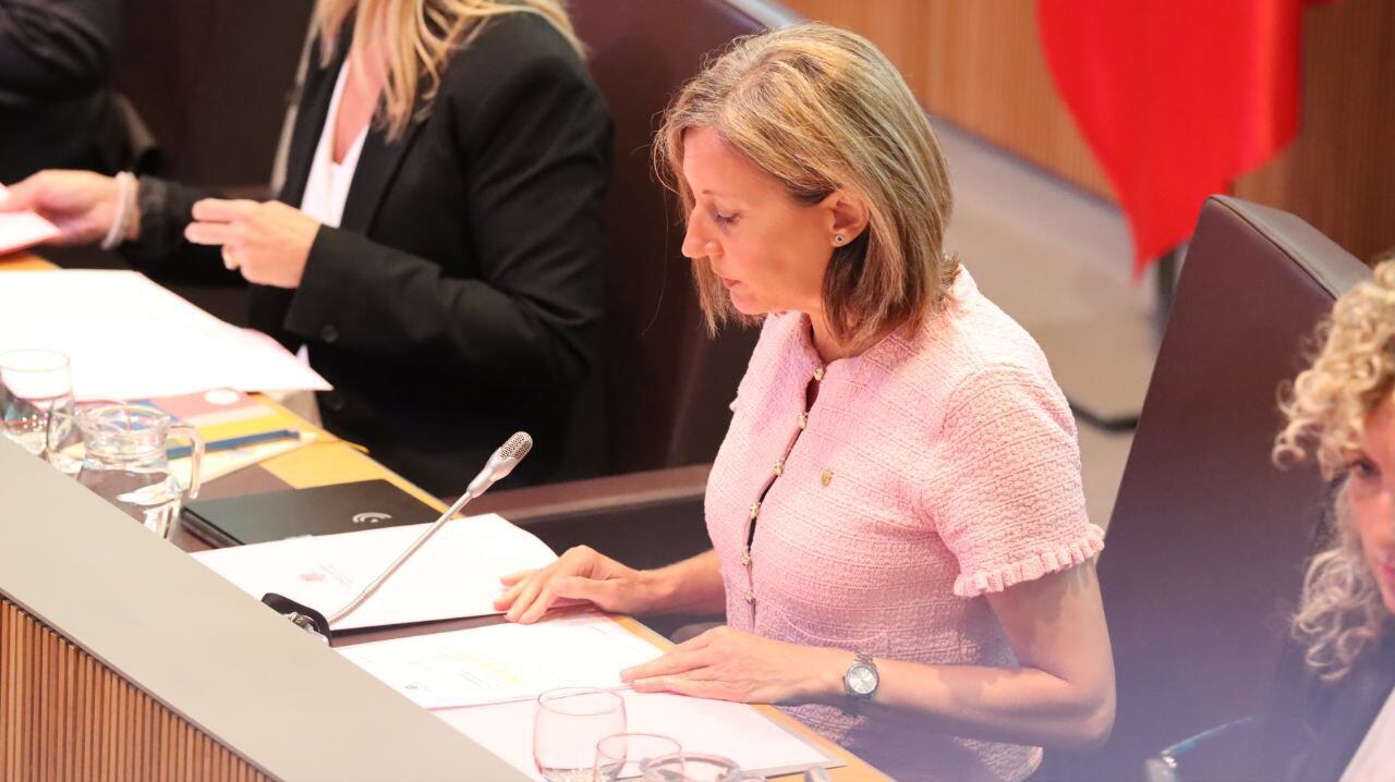 La consellera general de Concòrdia, Maria Àngels Aché, en seu parlamentària