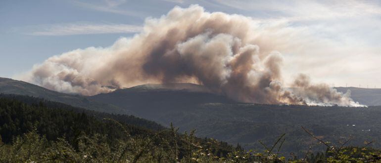 Medio Rural sitúa la superficie en 345 hectáreas