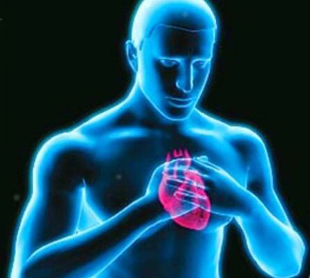 En el programa se han dejado consejos y pautas para evitar las insuficiencias cardiacas.